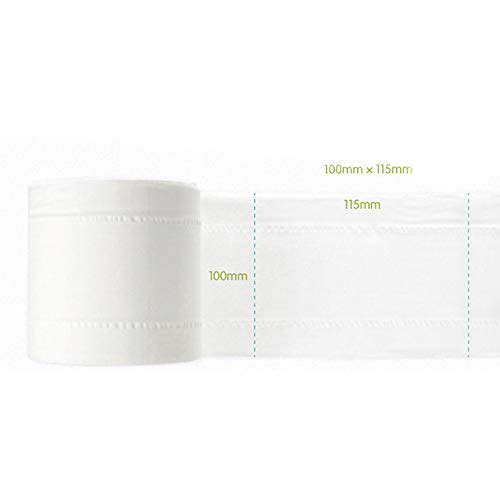 Blair 10 Rolls Toilet Paper 3-ply Bath Tissue Bathroom White Soft for Home Hotel Public