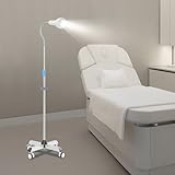 Medical Exam Lamp with Stand, Mobile LED Surgical Examination Lamp with Adjustable Height, Flexible Gooseneck Light, Floor Stand Oral Auxiliary Light for Dental Hospitals, Gynecology
