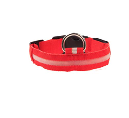 MoonyLI Collare per Cani LED Collare per Cani di