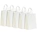 RACETOP White Paper Bags with Handles Bulk,8