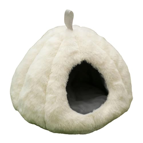 ybg~Ԃ牺nEXnbNgxbhAANZT[nX^[bgnlY~``P[WANZT[xbh