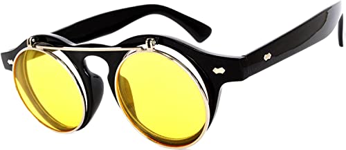 Image of OWL Steampunk Vintage Retro Round Circle Gothic Hippie Colored Plastic Frame Sunglasses Colored Lens