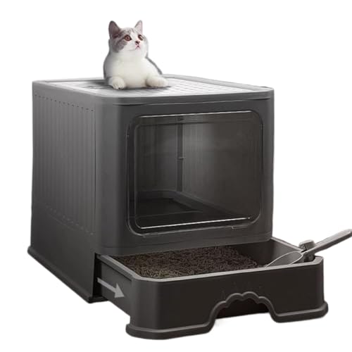 AOUVNLgC h[^Cv LpgC{ ot |ȒP 2WAYo@ ^L hAt 傫TCY ӂt юUh~  LXTCY SJo[ RۖhL jƂgC RpNgLgC O[ (O[