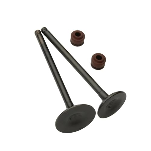 Válvulas de moto para solucionar pérdida de potencia en Symphony y Jet 14
