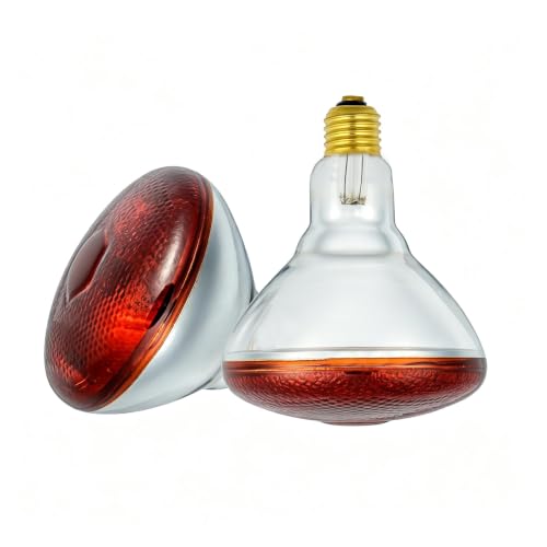 BONGBADA 2 Pack 250W Red Heat Lamp Bulbs