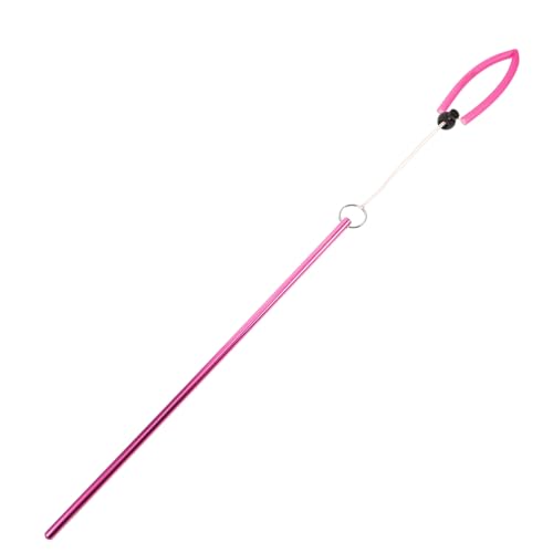 BESPORTBLE Bastone da Immersione in Alluminio con Cordino, Sonda Subacquea per Esplorazione Sub, Puntatore per Immersioni Subacquee Leggero Compatto per Appassionati di Immersioni Subacquee