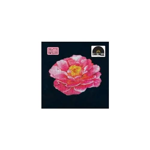 Post Malone Tribute To Nirvana - Vinyl release thumbnail