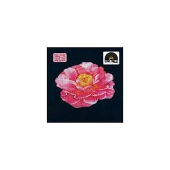 ポスト・マローン「Post Malone Tribute to Nirvana」 Post Malone - Post Malone Tribute To Nirvana [Record Store