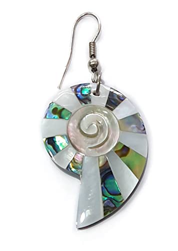 Iridescent Paua Abalone Shell Earrings, Natural Mother of Pearl, Handmade Dangle Drop Abalone Seashell Earrings for Women Fashion Jewelry BA2683