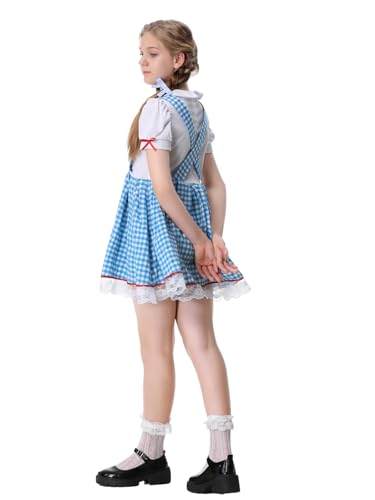 Disfraz Completo Niña Vestido Cuadros Azul Farm Girl miniatura 2
