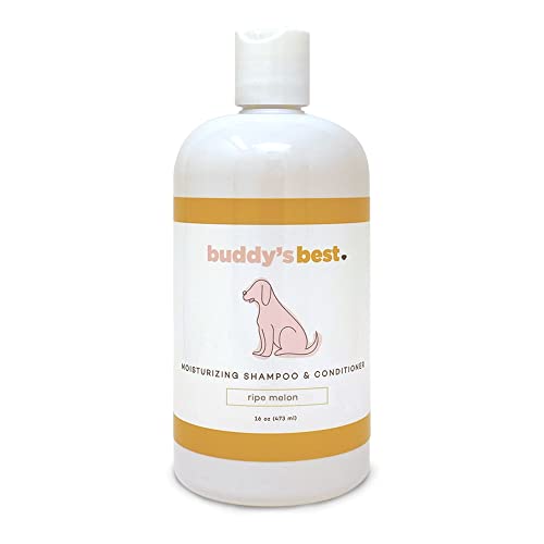 Best 10 Dog Shampoo For Sensitive Skin Dog Fluffy