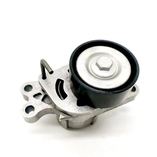 Tendeur dynamique 5751C8 pour stopper les sifflements de moteur 206