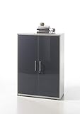 Stella Trading Office Lux Schrank, Aktenschrank, Holzdekor, Lichtgrau-Glas Graphit lackiert, ca. 78 x 114 x 35 cm