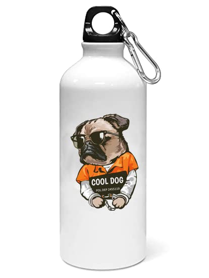 Jugaadu StyleCool Dog - Printed Sipper Bottles for Animation Lovers