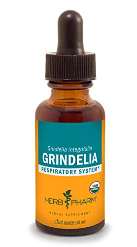 Herb Pharm Certified Organic Grindelia Liquid Extract for Respiratory System Support - 1 Ounce