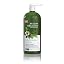 Tea Tree