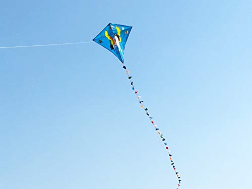 ZHUOYUE Kids Kite Easy Flyer Single Kites ,Quality Fabric Large Diamond Kite with Long Tail and Flying Tool