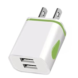 MOBIBAY US 2 Pin to USB Plug Travel Adapter Charger 1 Pack USA Wall Adaptor 2 USB Ports, American Universal America Power Charging for iPhone Samsung Smartphones Shaver Toothbrush ipad air pro max