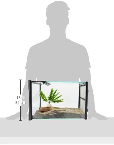 Diagram showing the dimensions of the terrarium, 13 inches high and 32 cm