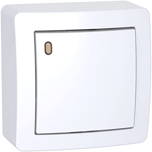 Schneider Electric - Alréa, Va-et-vient lumineux forte luminosité avec cadre saillie, blanc polaire - ALB62057P