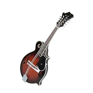 KESHUO F-Typ 8-saitige Mandoline-Gitarre