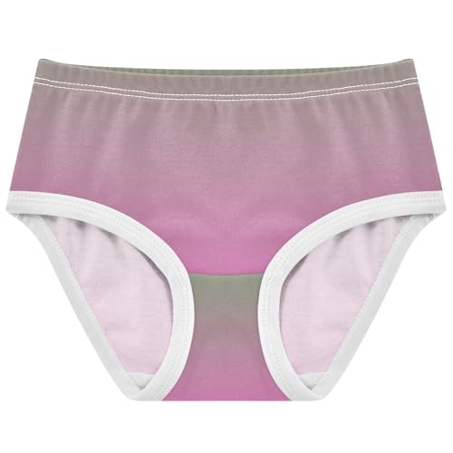 Joisal Fun Toddler Underwear Floral 2t Cotton Panties for Girl Dinosaur Green Rose Pink Gradient Briefs Girls Undies
