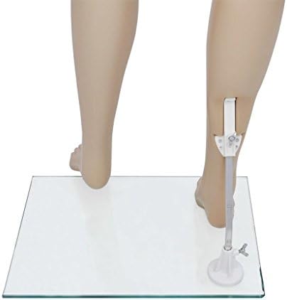 vidaXL Mannequin Women A Shop Female Model Window Clothes Display Full Body