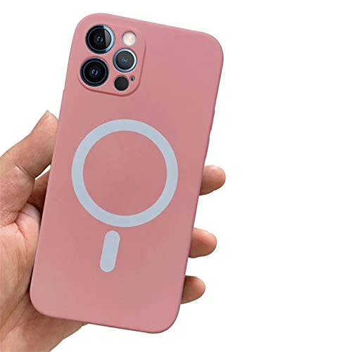 Coque magnétique iPhone 11 Pro silicone antichoc rose
