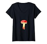 Mushroom Fungi Mycology Mycologist Toad Mycelium