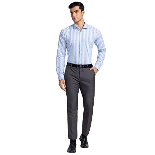 Image of Park Avenue Men's Pure Cotton Stripe Pattern Slim Fit Ainsley Collar Full Sleeve Formal Shirt