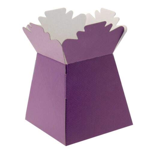 EliteKoopers 1Pcs Living Vase Flower Bouquet Box Florist Presentation Gift Boxes