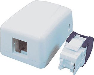 Amazon | スリーエムジャパン RJ45モジュラージャック 露出型