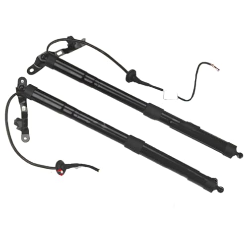 e[Q[gKXXvOVbNAu\[o[ RAV4 2.5L 2013-2018 p[tgQ[g gNtgT|[g de[Q[gXgbg 6891009010/68920-09010/689200901(Pair)