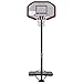 KL KLB Sport Portable Basketball Hoop System Height Adjustable Basketball Stand for Teens Adults Indoor Outdoor w/Wheels, 43 Inch Backboard