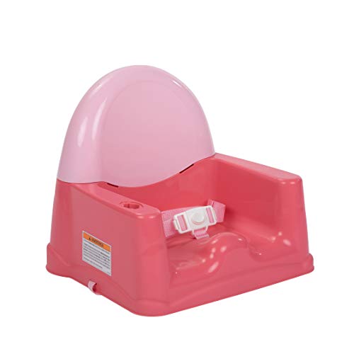 Safety 1St BO048FHV Easy Care Swing Tray Feeding Booster thumb #3