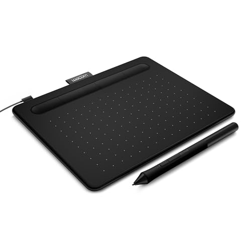 Professional Drawing Tablet with Screen 2K