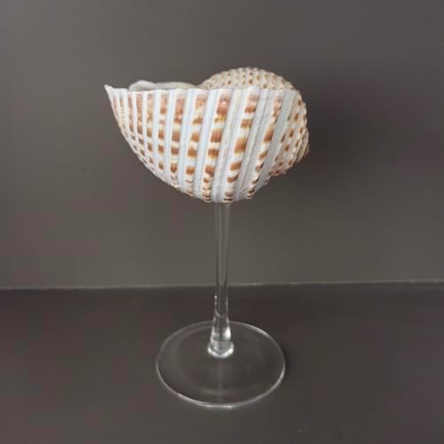 DOCLY&WOPL Handmade Seashell Wine Glasses Conch Cup Martini Glasses Cocktail Party Beach Wedding Bridesmaids Gifts (Conch)