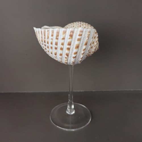 DOCLY&WOPL Handmade Seashell Wine Glasses Conch Cup Martini Glasses Cocktail Party Beach Wedding Bridesmaids Gifts (Conch)