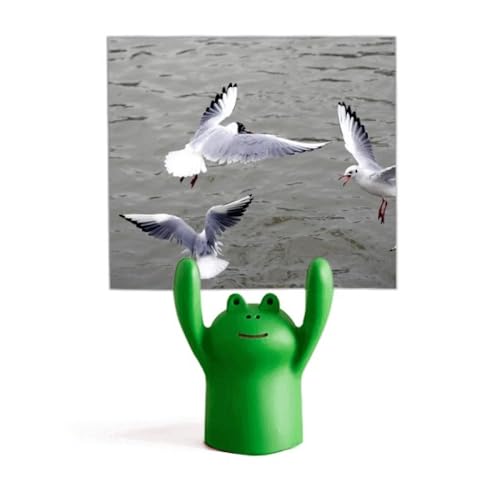 Support de photo océan et mémo grenouille pour bureau nature