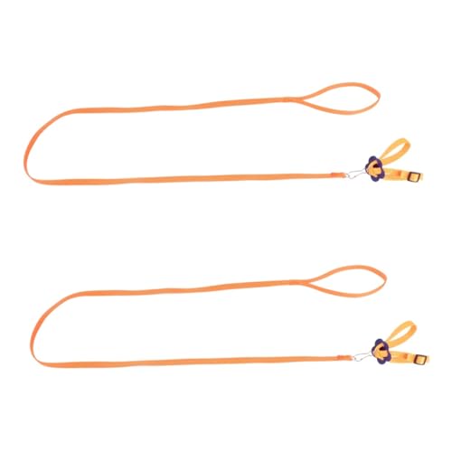 HAPINARY 2 Pcs Adjustable Pet Harness Lizard Leash Pet Tow Rope Bird Pulling Rope for Outdoor