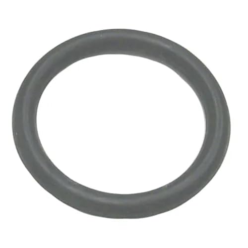 SIERRA INTERNATIONAL INC. ARO