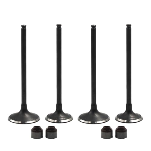 Kit de vástago de admisión 12005-0737 (1 par) para modelos de 250cc 3