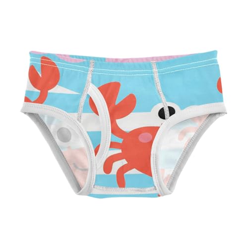 GuoChe Toddler Boy Briefs Cotton in Sizes 2T,3T, 4T, 5T, 6Y and 8Y