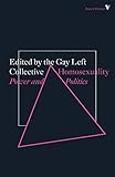 Homosexuality: Power and Politics