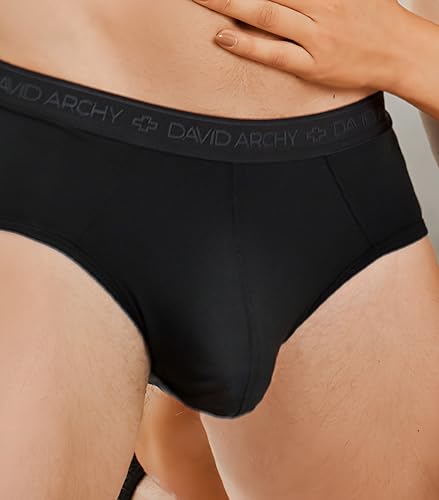 DAVID ARCHY Men's 4 Pack Micro Modal Separate Pouch Briefs with Fly