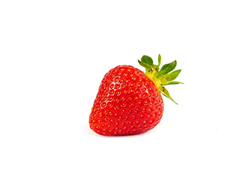 Erdbeerprofi - Erdbeere Favori - 10 Erdbeerpflanzen / Erdbeersetzlinge - gut durchwurzelt, immertragend - Pflanzzeit: August - September; Ernte: Juli - Oktober Cover