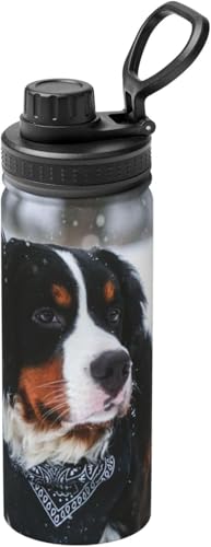 o[j[Y}EehbO̍~ Wt RrjJbv  @r XeX{g X|[cΉ ۉ ۗ RȂ 530ml j̎q ̎q  l q v[g