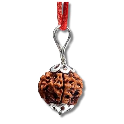 Image of Certified 12 Mukhi Rudraksha /Twleve Faced Rudraksha Pendant Original Rudraksha Locket (Color : Brown)