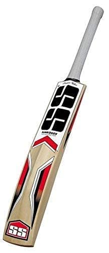 Batte de cricket intermédiaire SS Master avec housse pour balle en cuir