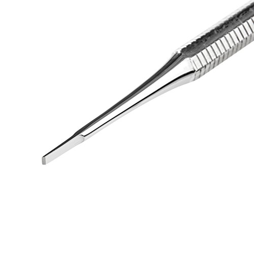 REMOS Zahnstocher Profi Zahnputzwerkzeug mit spitzem und flachem Ende aus rostfreiem Edelstahl - 9 cm